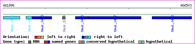 gene map
