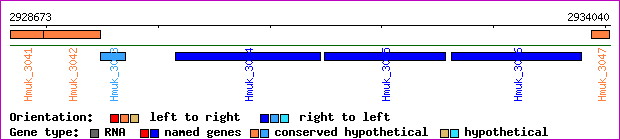 gene map
