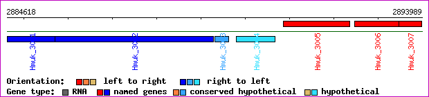 gene map