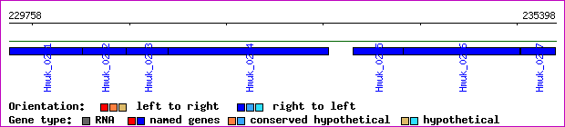 gene map