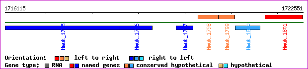 gene map
