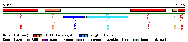 gene map