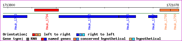 gene map
