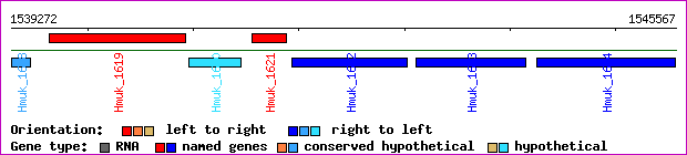 gene map