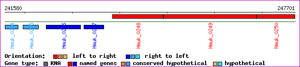 gene map