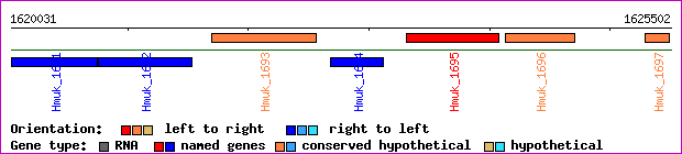 gene map