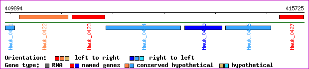 gene map