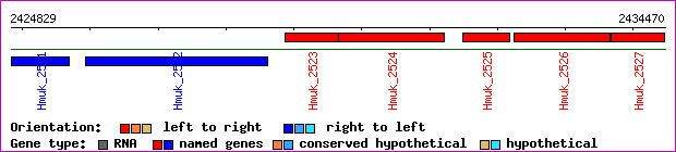 gene map