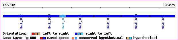 gene map