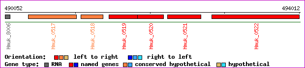 gene map