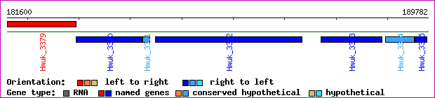 gene map