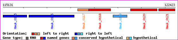 gene map