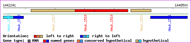 gene map