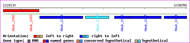 gene map
