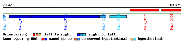 gene map