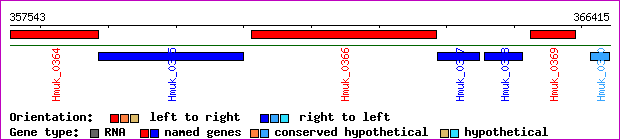 gene map