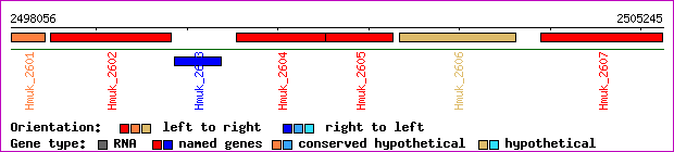 gene map