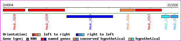 gene map