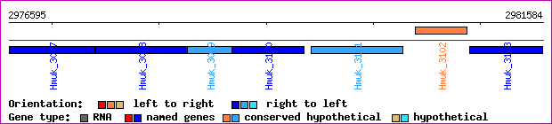 gene map
