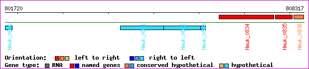 gene map