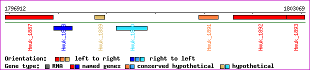 gene map