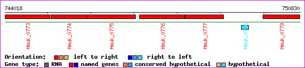 gene map