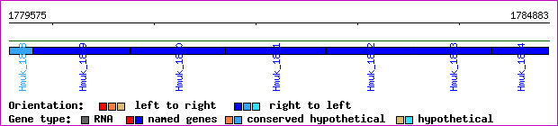 gene map