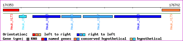 gene map