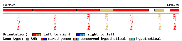gene map