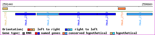 gene map