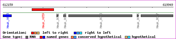gene map