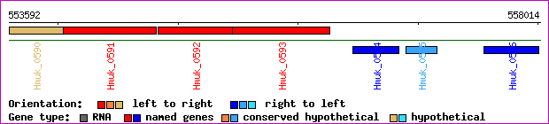 gene map