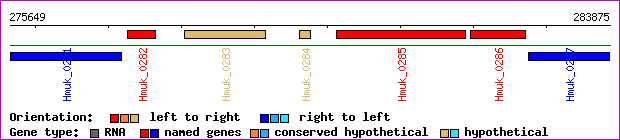 gene map