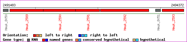 gene map