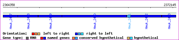 gene map