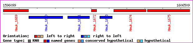 gene map
