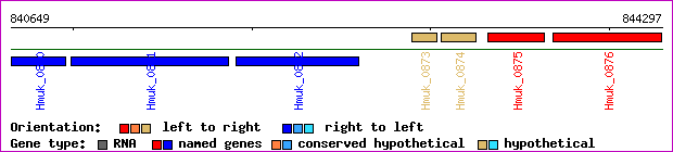 gene map