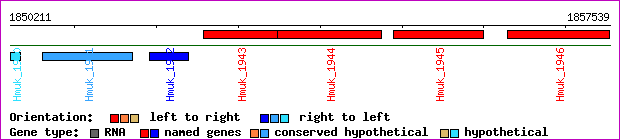 gene map