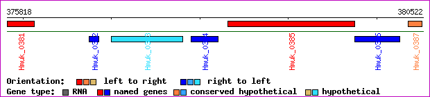 gene map