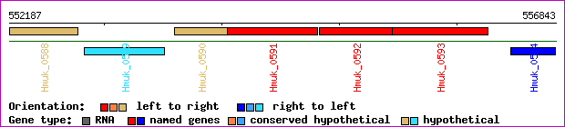 gene map