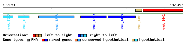 gene map