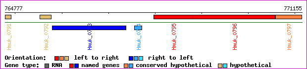 gene map