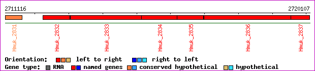 gene map