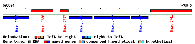 gene map