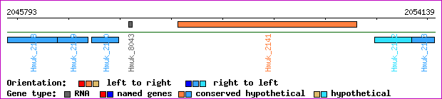 gene map