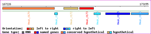 gene map