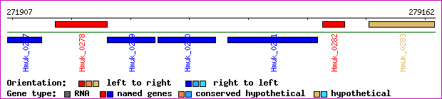gene map