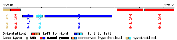 gene map