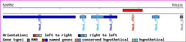 gene map
