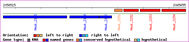 gene map